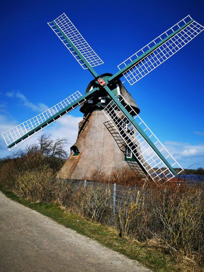 Mein-Ostseeplaetzchen Niesgrau Bagian luar foto