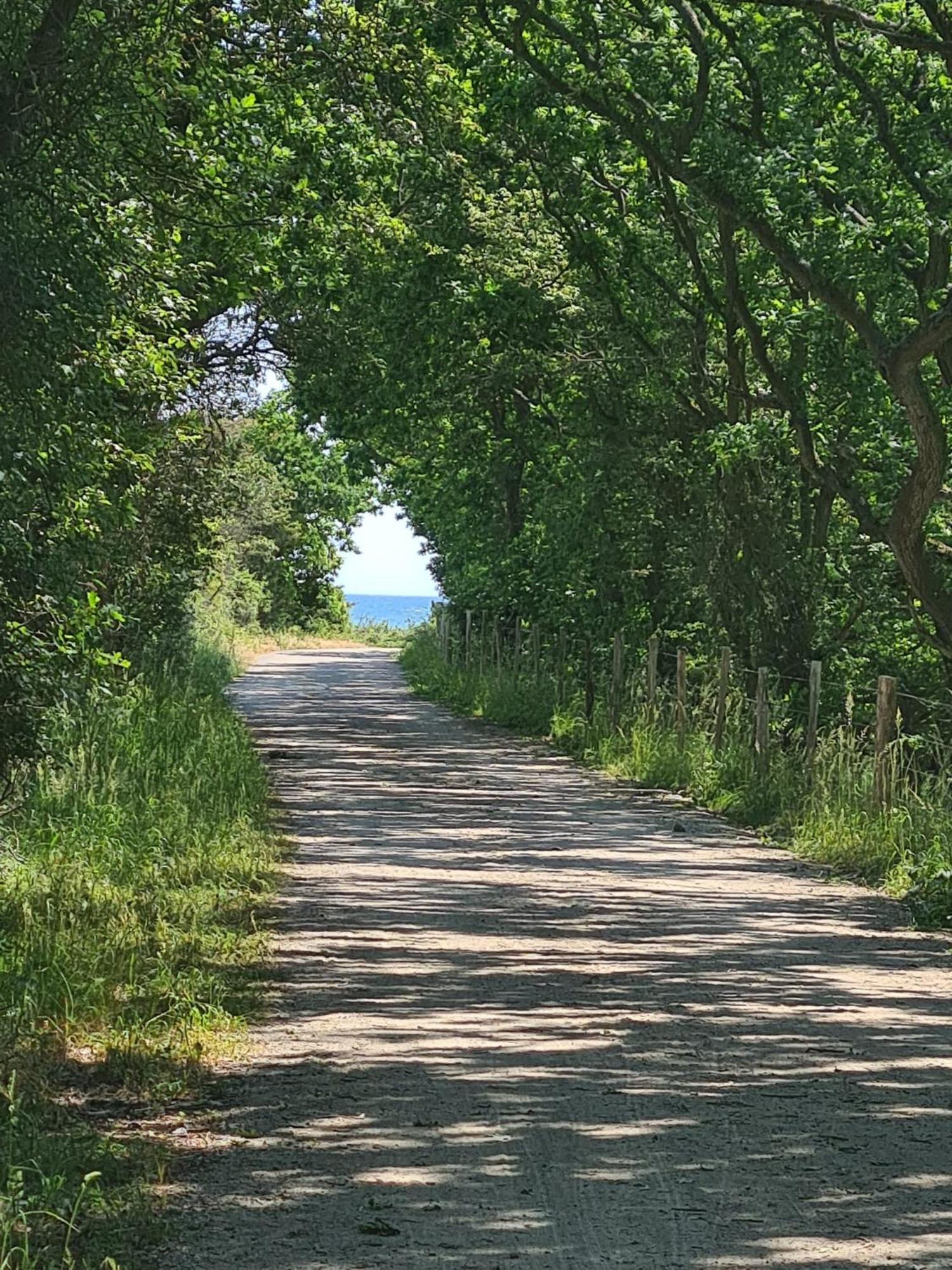 Mein-Ostseeplaetzchen Niesgrau Bagian luar foto